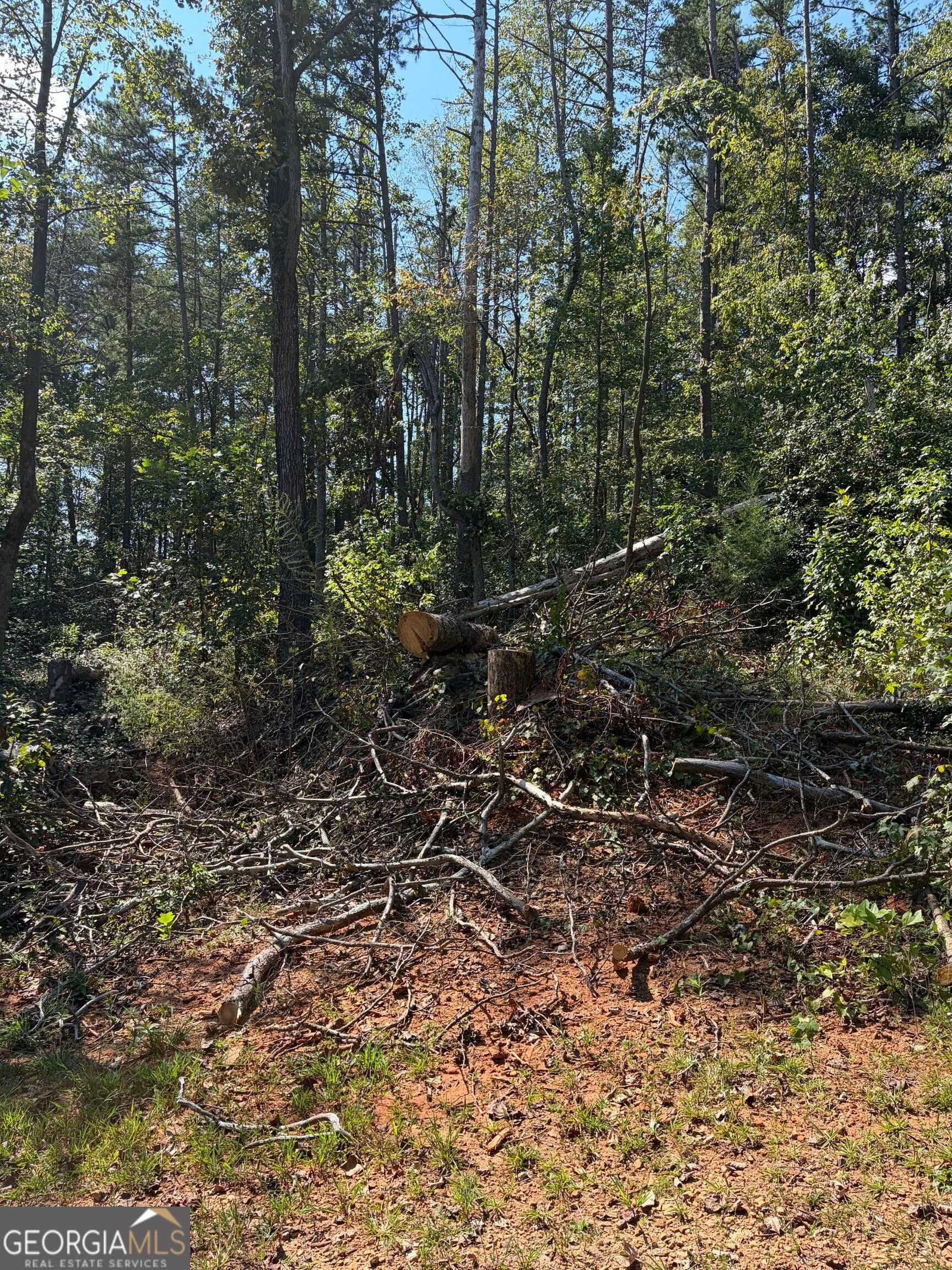 residential lot for sale at 309 Seminole Trail, Martin, GA 30557 — photo 3