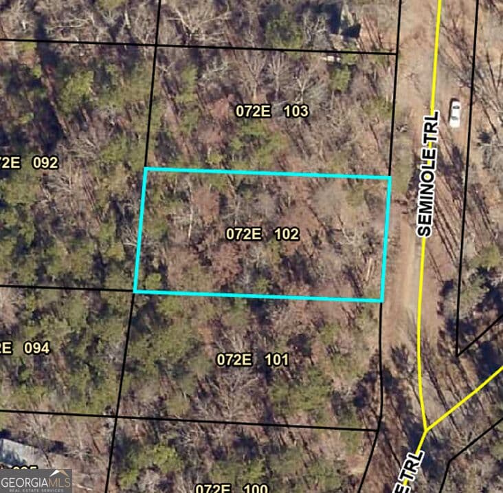 residential lot for sale at 309 Seminole Trail, Martin, GA 30557 — photo 1 of 4