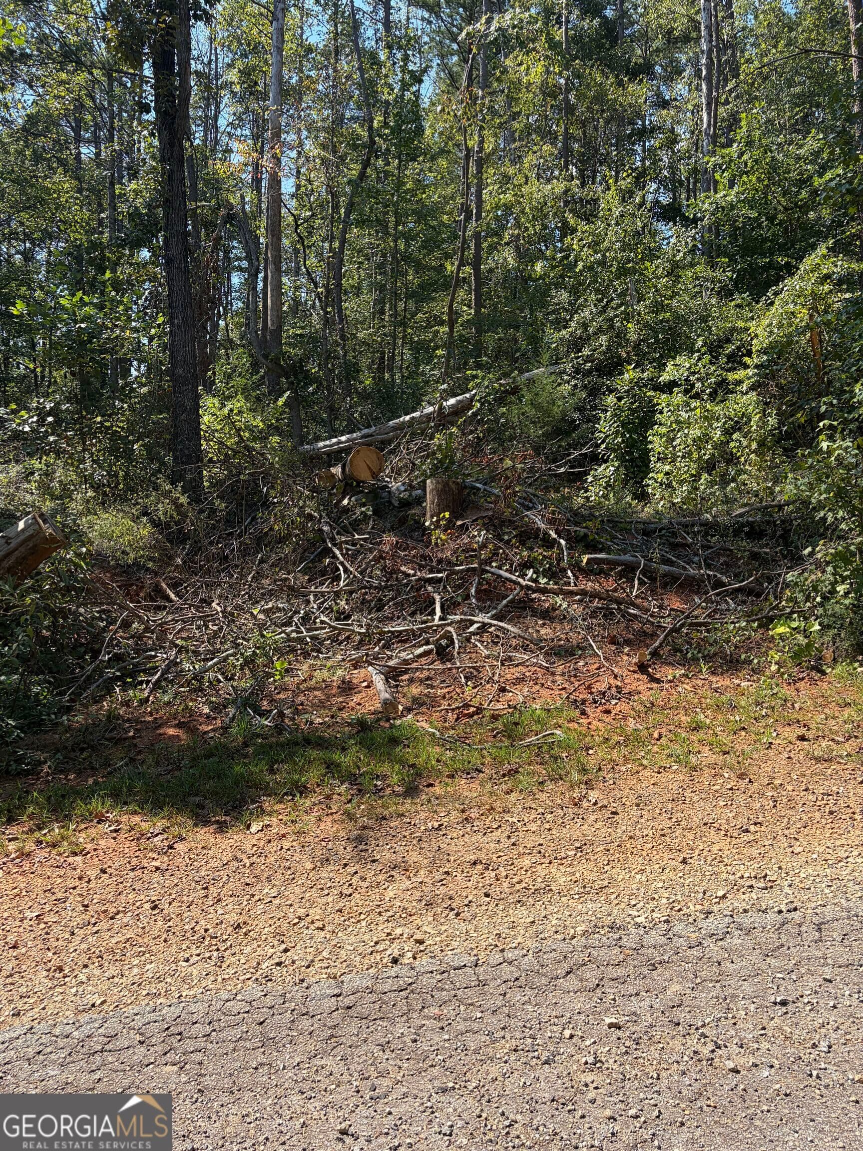 residential lot for sale at 309 Seminole Trail, Martin, GA 30557 — photo 4