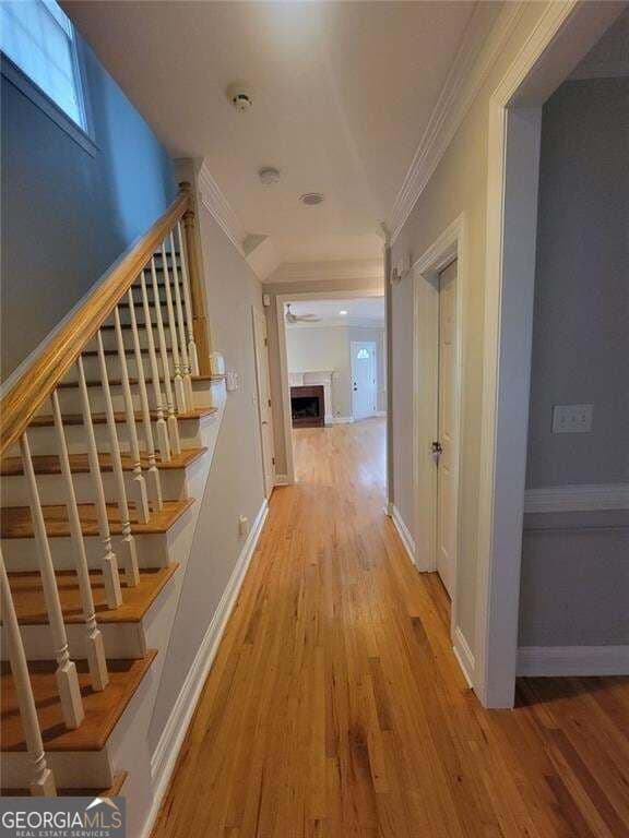 3 bedroom, 2.5 bathroom, 1,478 sq ft single family residence for rent at 51 Little Street, Atlanta, GA 30315 for $2,995 a month — photo 4