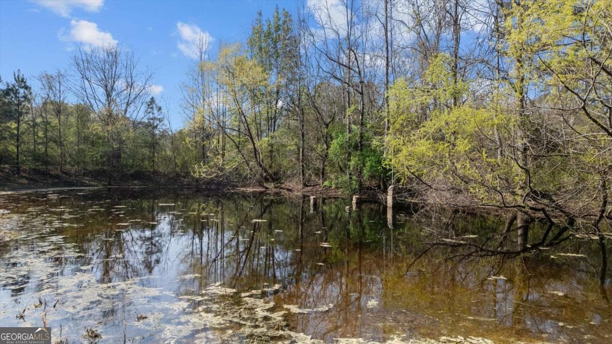 agriculture for sale at 5745 Northcutt Road, Fairburn, GA 30213 — photo 5