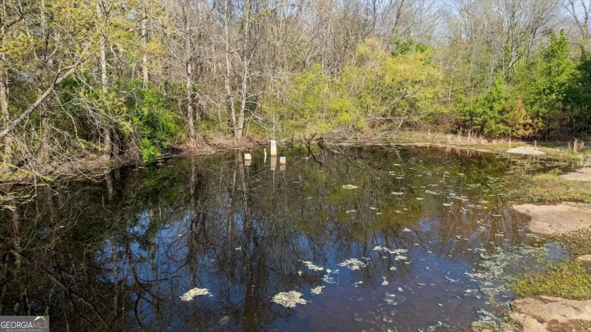 agriculture for sale at 5745 Northcutt Road, Fairburn, GA 30213 — photo 4
