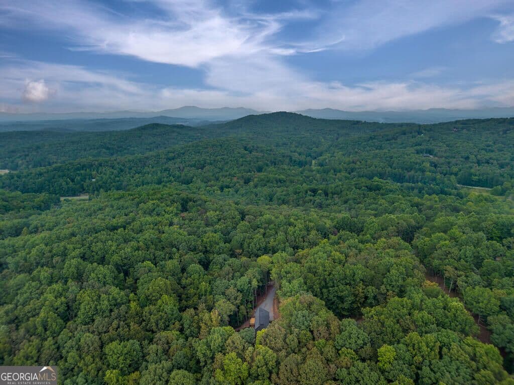 4 bedroom, 4 bathroom, 4,380 sq ft single family residence for sale at 63 Laurel Trace, Blue Ridge, GA 30513 — photo 5