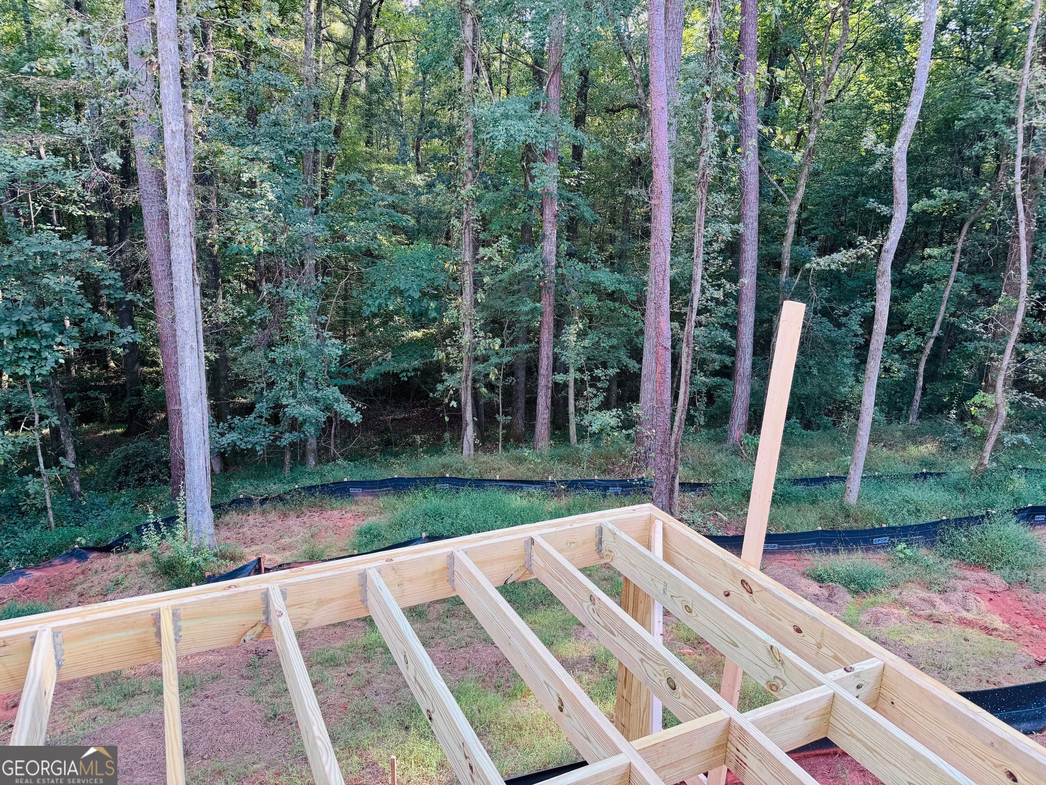 4 bedroom, 3.5 bathroom, 2,899 sq ft single family residence for sale at 170 Pine Creek Way, Winterville, GA 30683 — photo 2