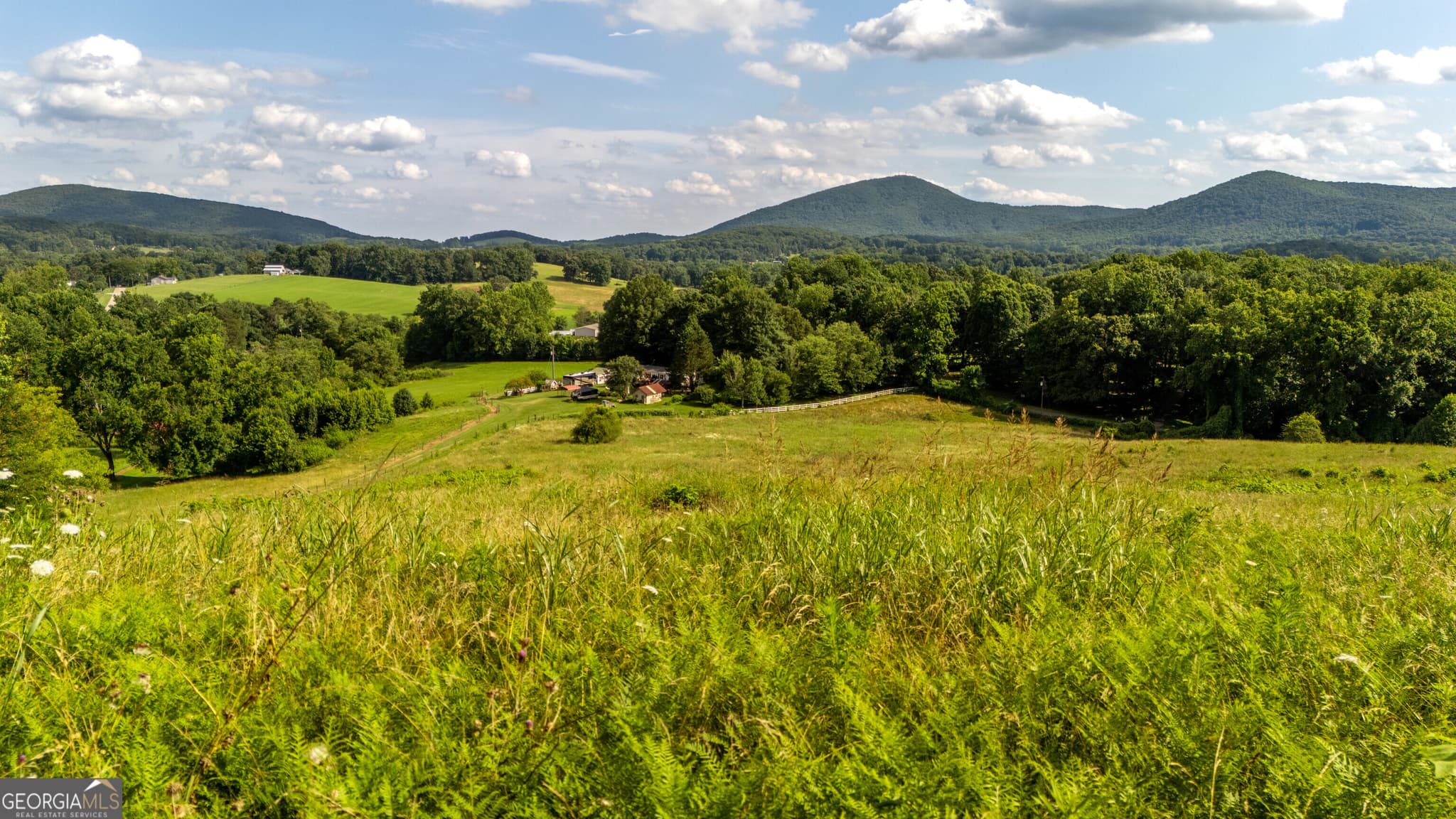 agriculture for sale at 142 Thomason Road, Cleveland, GA 30528 — photo 9