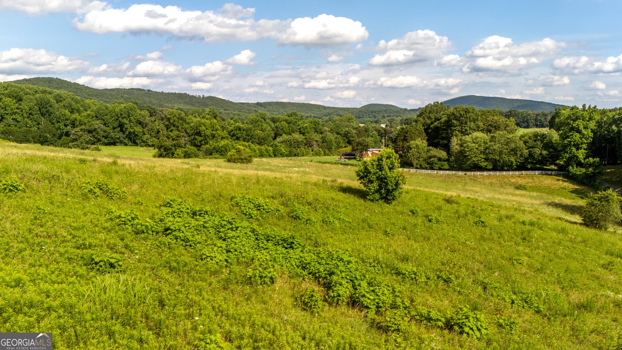 agriculture for sale at 142 Thomason Road, Cleveland, GA 30528 — photo 10