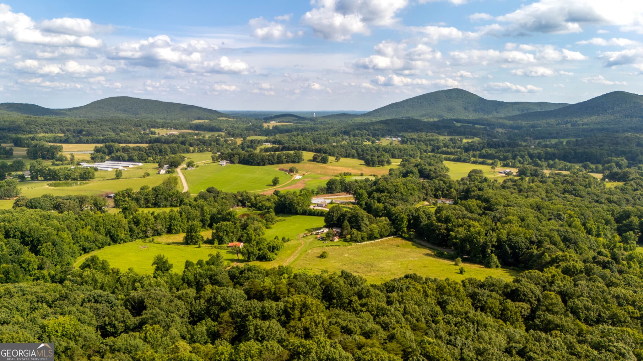agriculture for sale at 142 Thomason Road, Cleveland, GA 30528 — photo 8