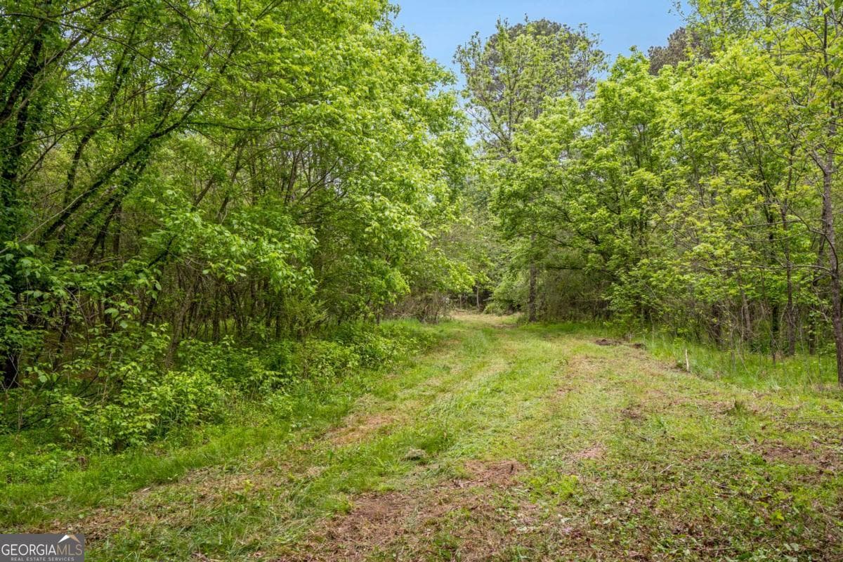 unimproved land for sale at 0 Mountain Road, Alpharetta, GA 30004 — photo 6