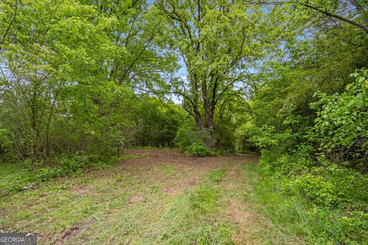unimproved land for sale at 0 Mountain Road, Alpharetta, GA 30004 — photo 7