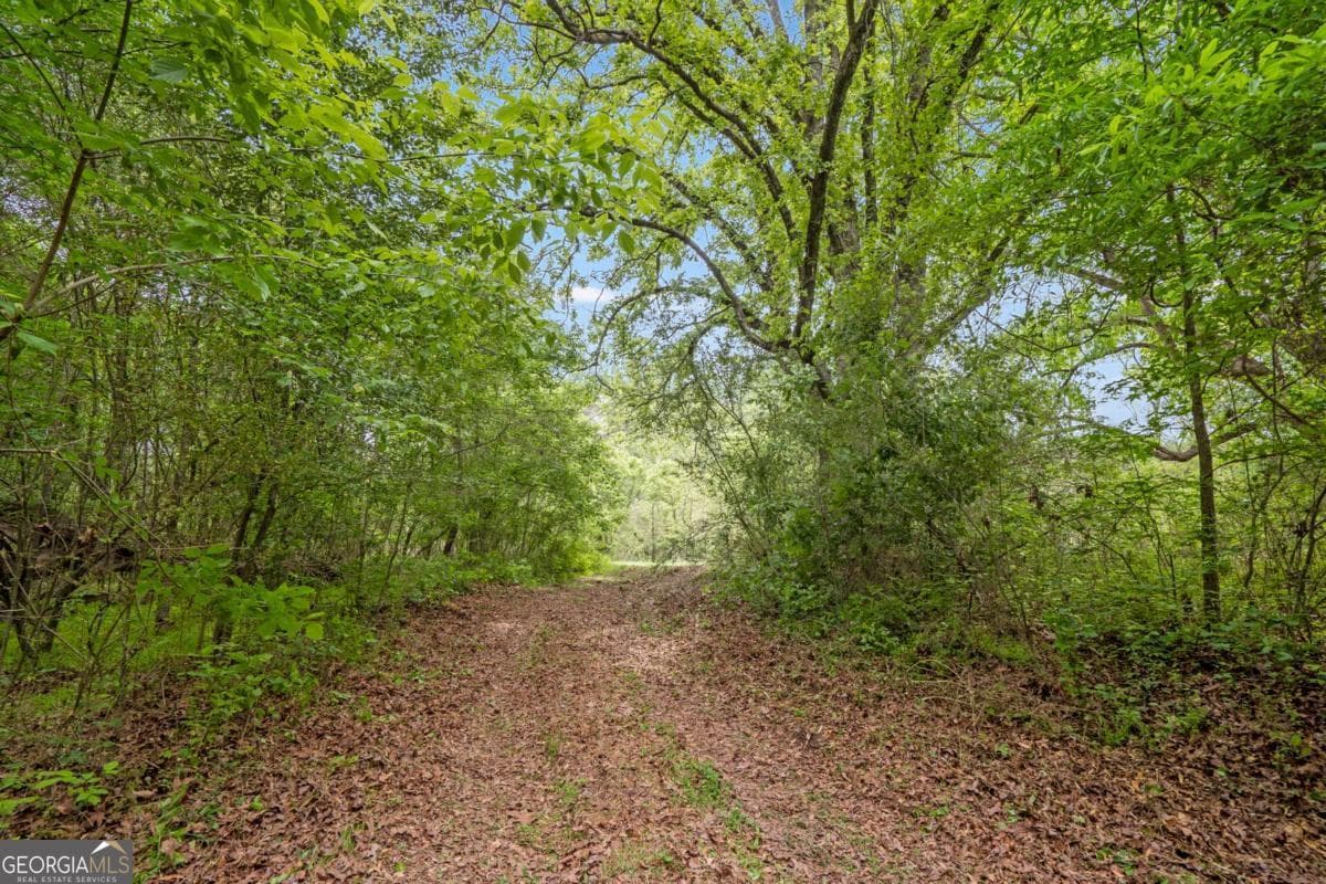 unimproved land for sale at 0 Mountain Road, Alpharetta, GA 30004 — photo 5