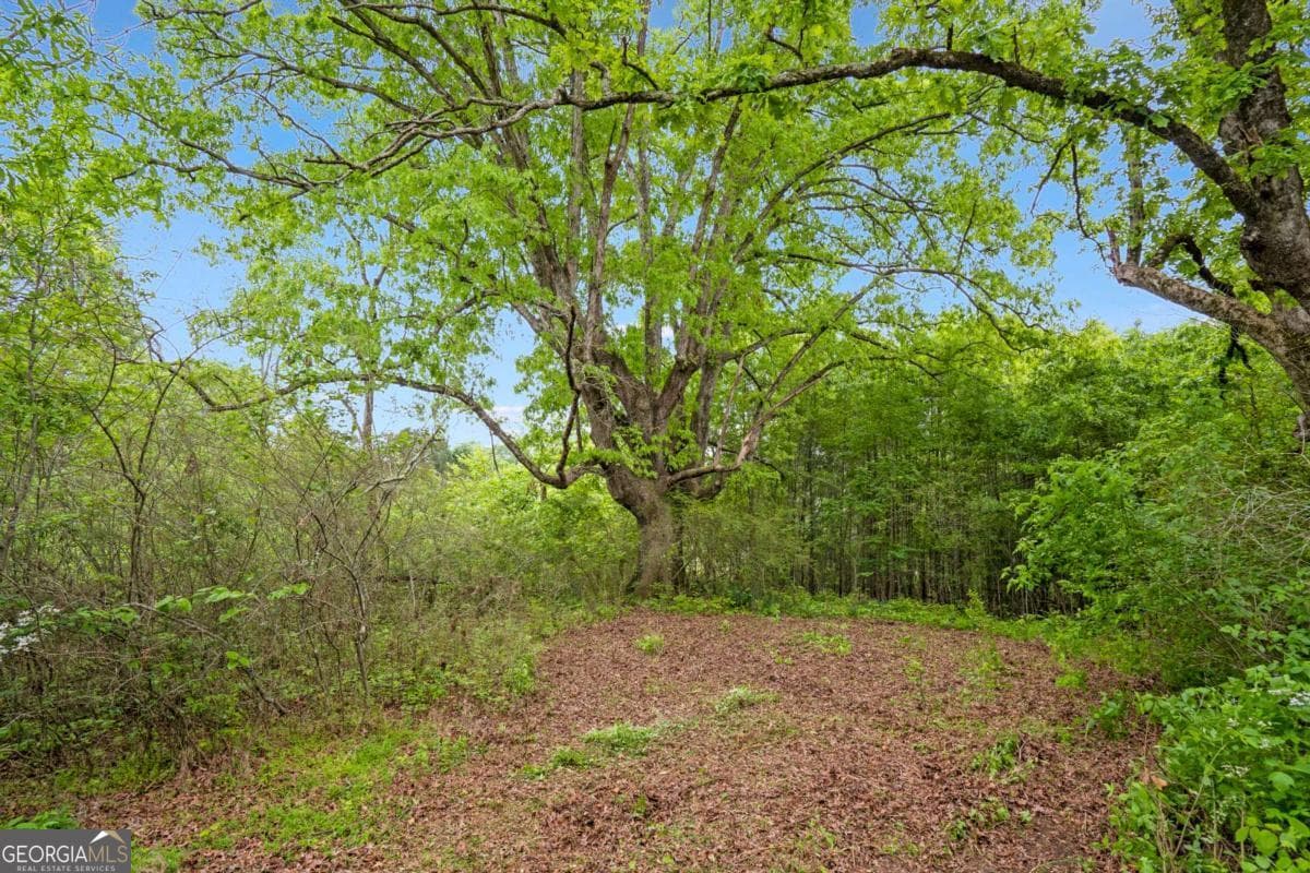 unimproved land for sale at 0 Mountain Road, Alpharetta, GA 30004 — photo 9