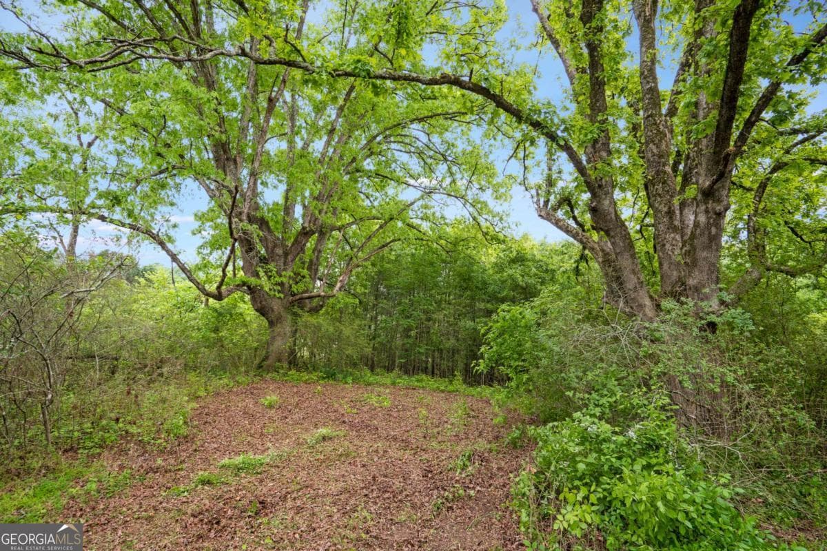 unimproved land for sale at 0 Mountain Road, Alpharetta, GA 30004 — photo 10