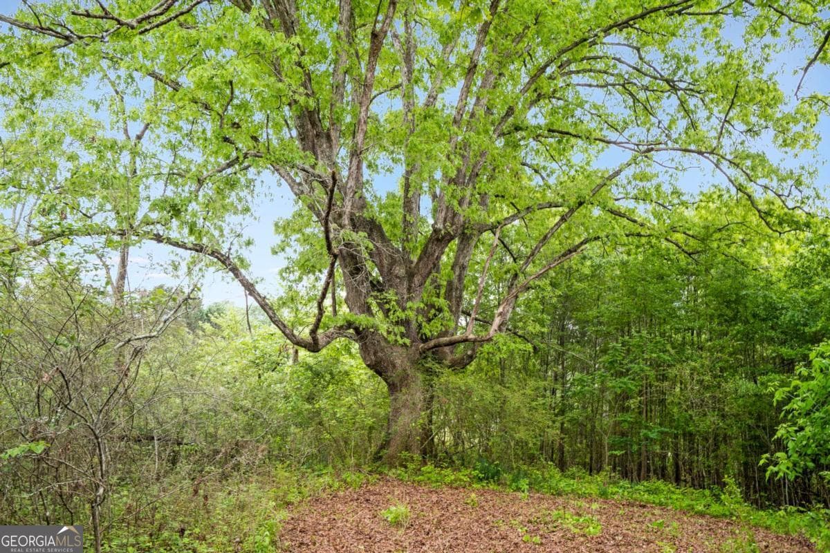 unimproved land for sale at 0 Mountain Road, Alpharetta, GA 30004 — photo 8