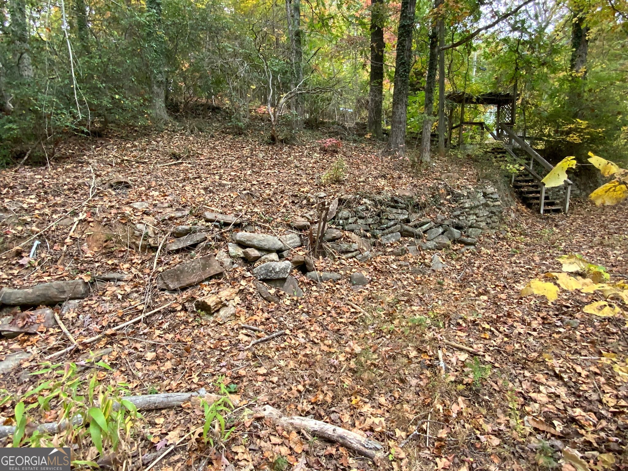 residential lot for sale at 224 Magnolia Drive, Sautee Nacoochee, GA 30571 — photo 3