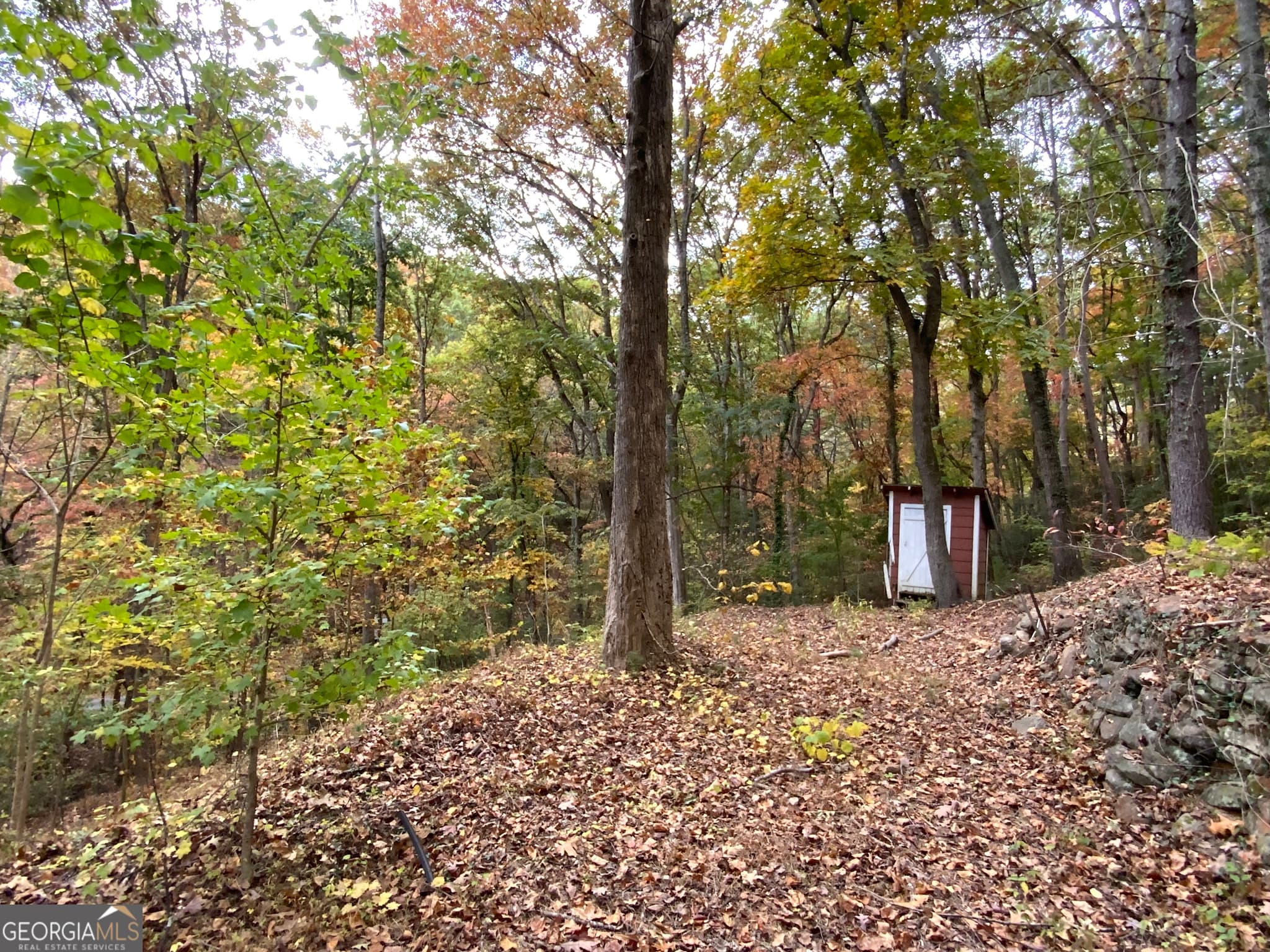 residential lot for sale at 224 Magnolia Drive, Sautee Nacoochee, GA 30571 — photo 1 of 21