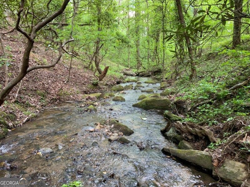 residential lot for sale at 224 Magnolia Drive, Sautee Nacoochee, GA 30571 — photo 5