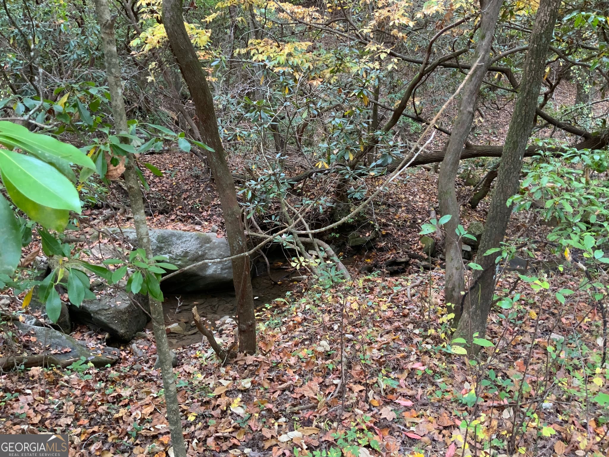 residential lot for sale at 224 Magnolia Drive, Sautee Nacoochee, GA 30571 — photo 9