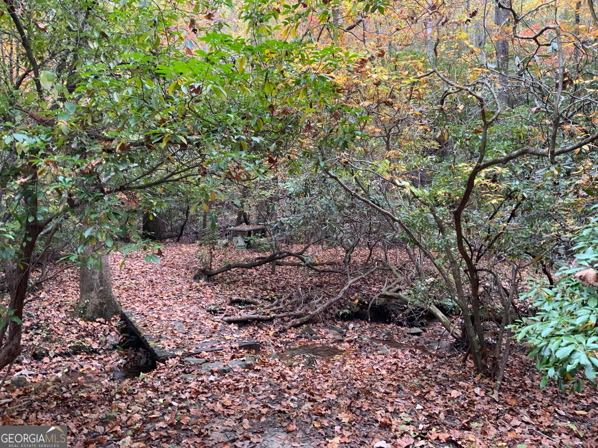 residential lot for sale at 224 Magnolia Drive, Sautee Nacoochee, GA 30571 — photo 10