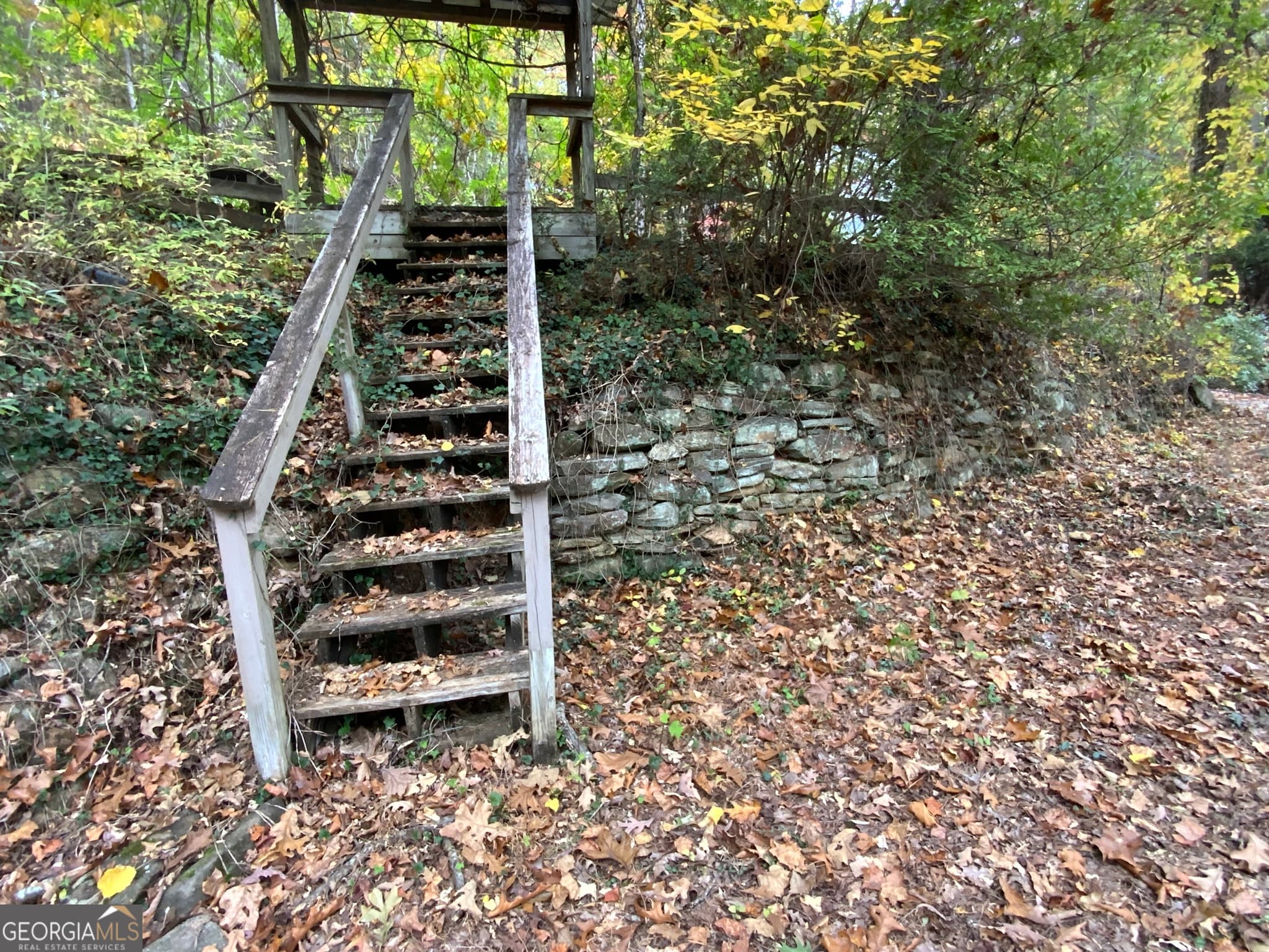 residential lot for sale at 224 Magnolia Drive, Sautee Nacoochee, GA 30571 — photo 4