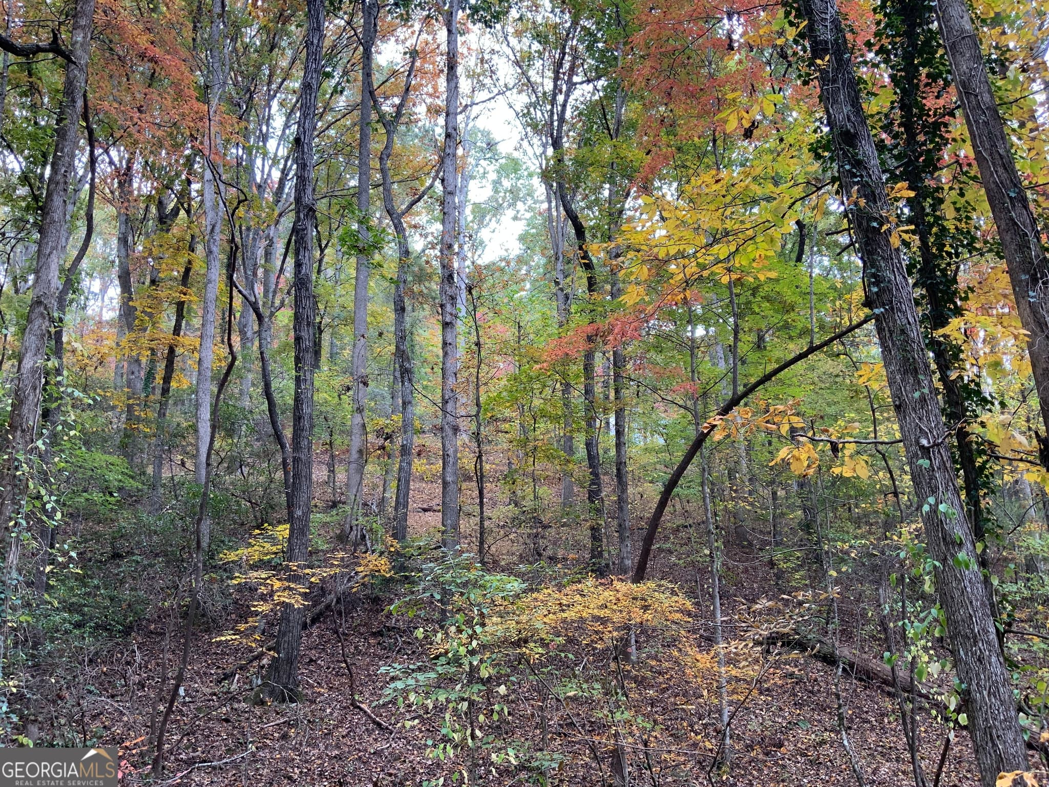 residential lot for sale at 224 Magnolia Drive, Sautee Nacoochee, GA 30571 — photo 8