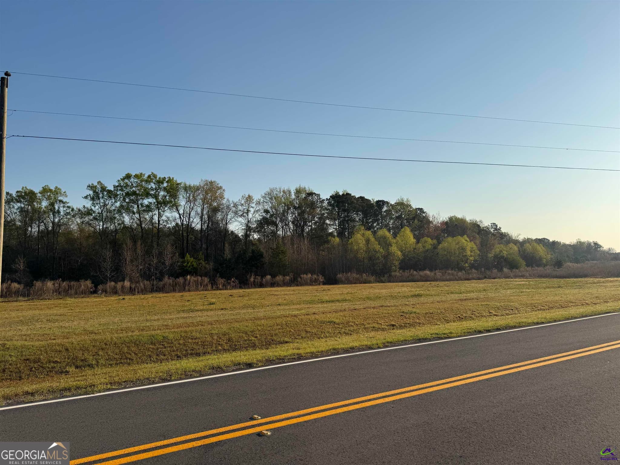 residential lot for sale at 0 Whitfield Road, Elko, GA 31025 — photo 1 of 1