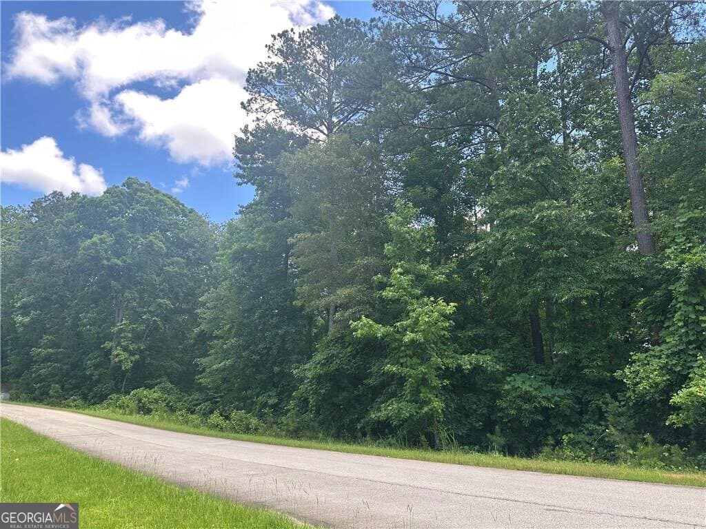 residential lot for sale at 0 Elsberry Mountain Road, Dallas, GA 30132 — photo 2