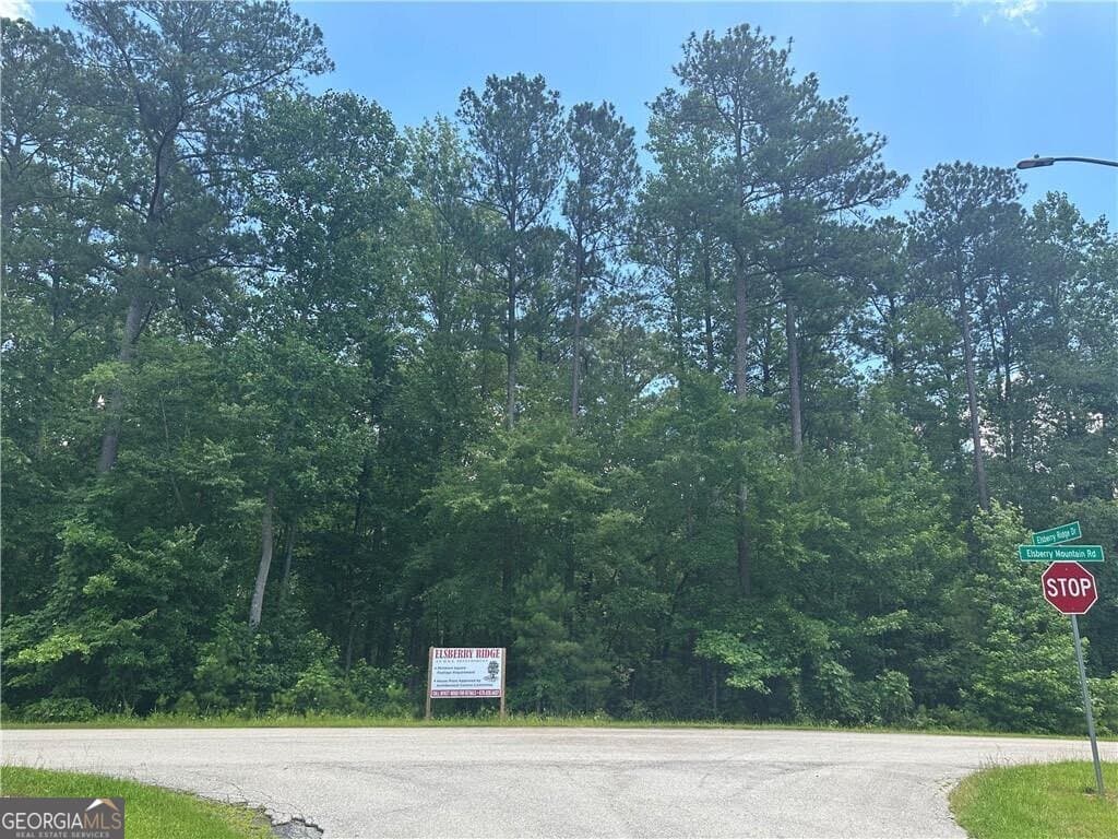 residential lot for sale at 0 Elsberry Mountain Road, Dallas, GA 30132 — photo 3