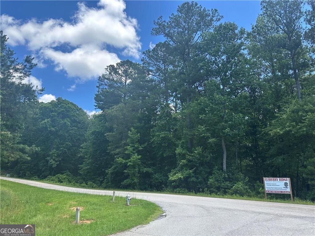 residential lot for sale at 0 Elsberry Mountain Road, Dallas, GA 30132 — photo 4