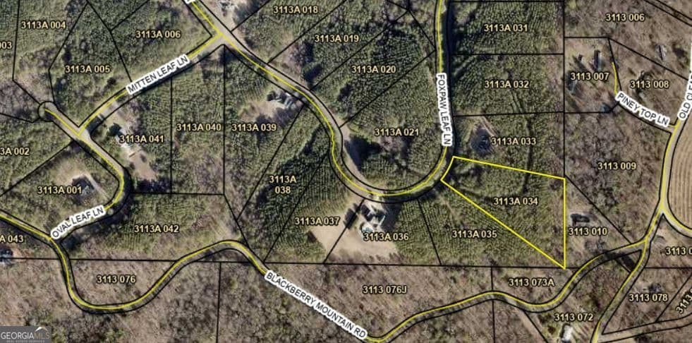 residential lot for sale at 0 Fox Paw Leaf Lane (LOT 34), Ellijay, GA 30540 — photo 1 of 2