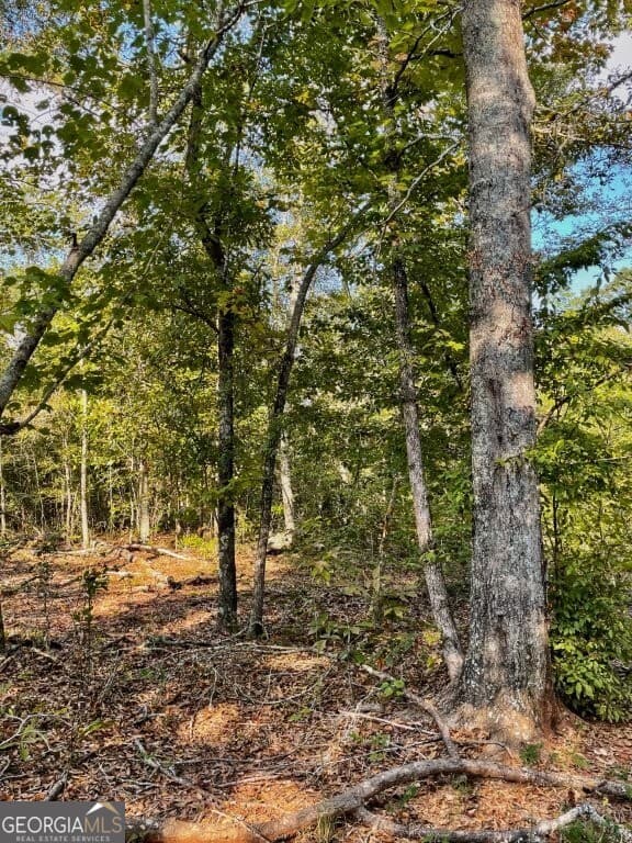 agriculture for sale at 0 Highway 36, Jackson, GA 30233 — photo 6