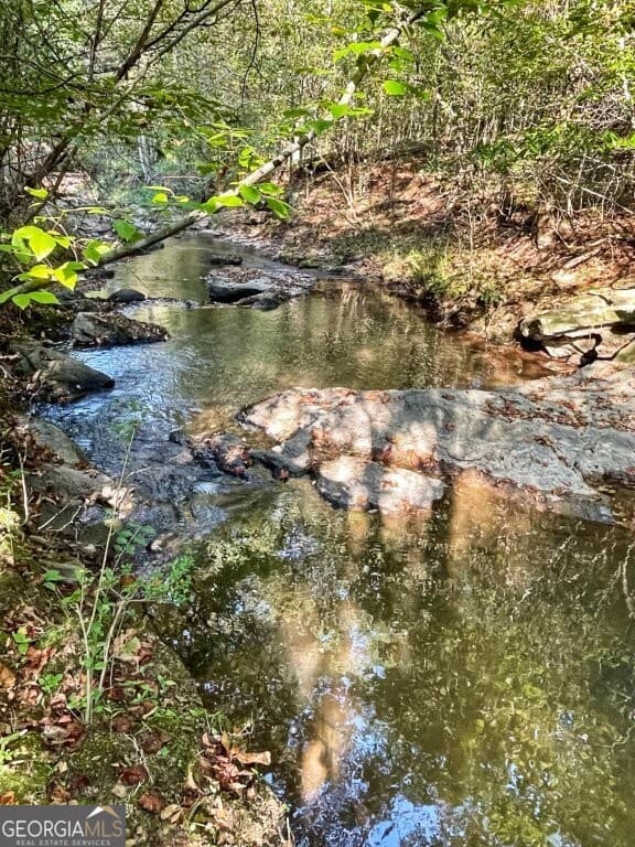 agriculture for sale at 0 Highway 36, Jackson, GA 30233 — photo 5