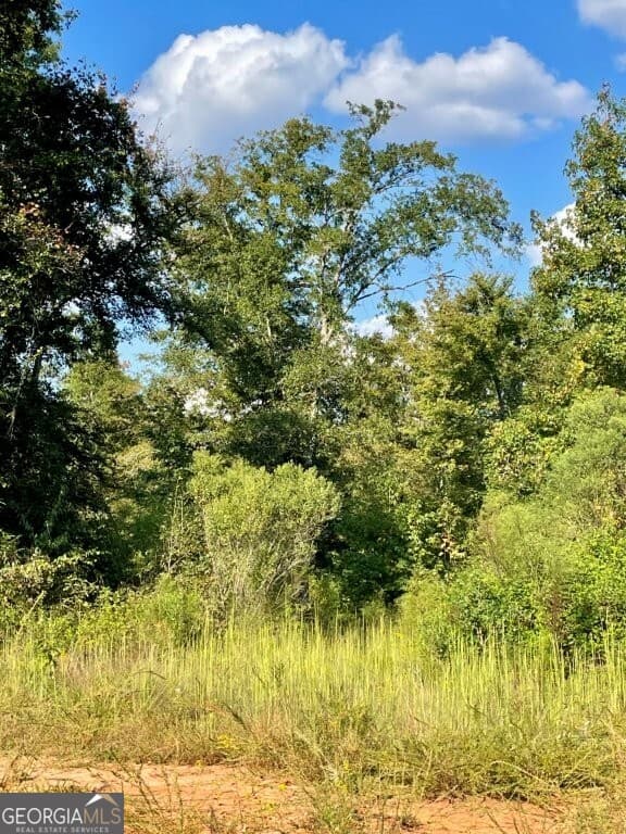 agriculture for sale at 0 Highway 36, Jackson, GA 30233 — photo 8
