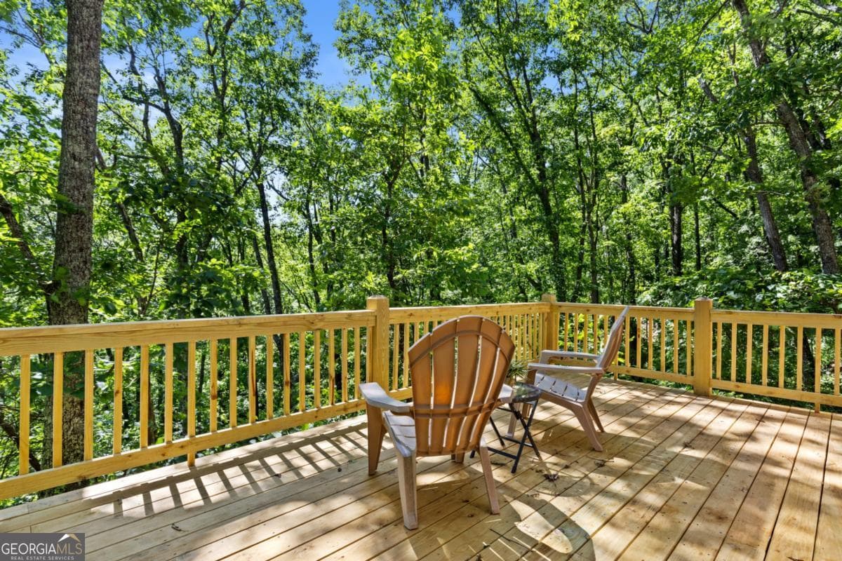 2 bedroom, 1 bathroom, 600 sq ft cabin,single family residence for sale at 382 Highland Road, Ellijay, GA 30540 — photo 4