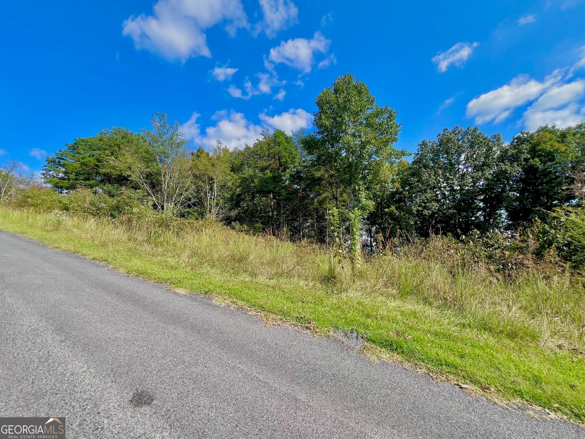 residential lot for sale at T7 Talona Mountain Road, Ellijay, GA 30536 — photo 2