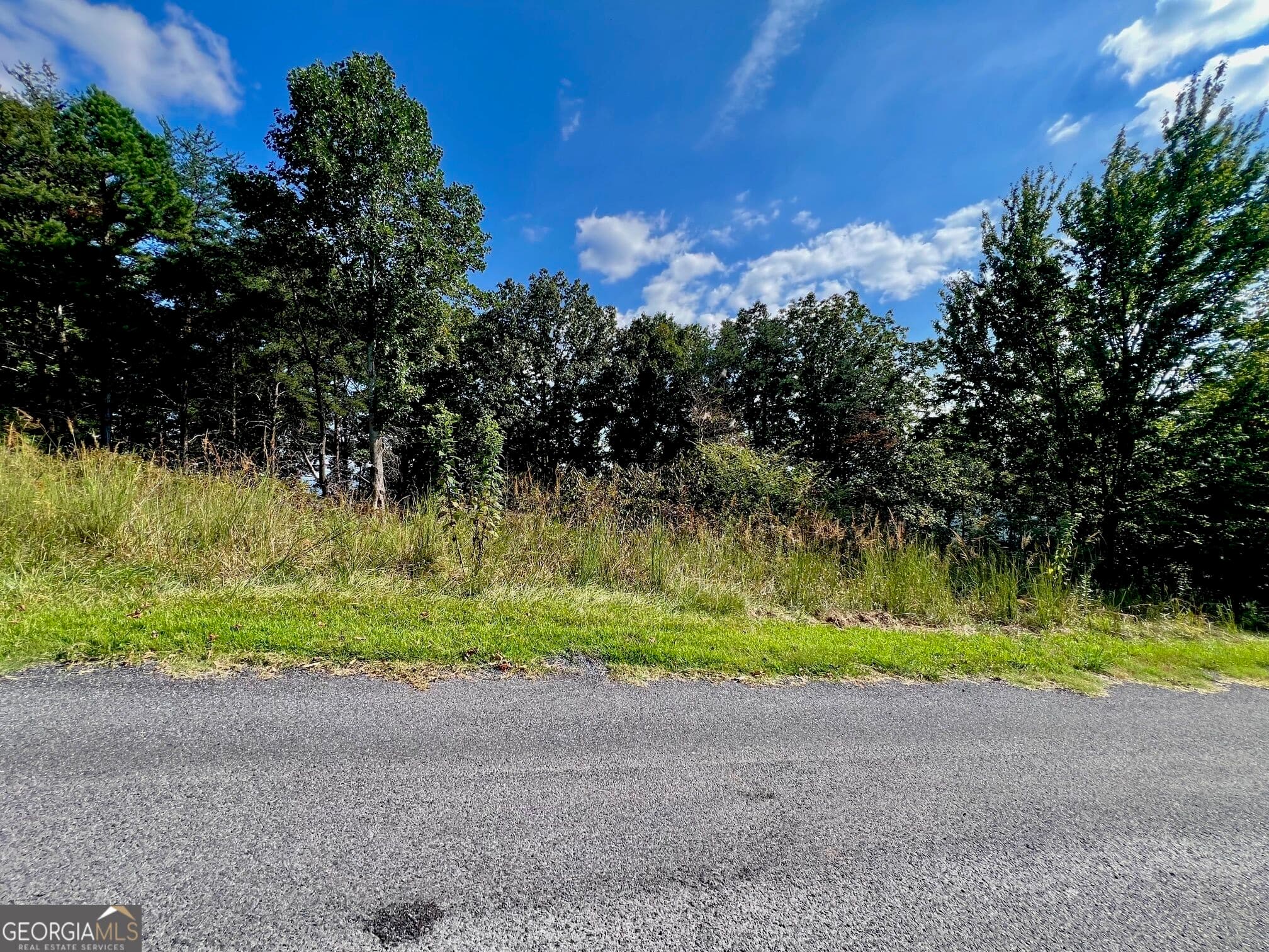 residential lot for sale at T7 Talona Mountain Road, Ellijay, GA 30536 — photo 3