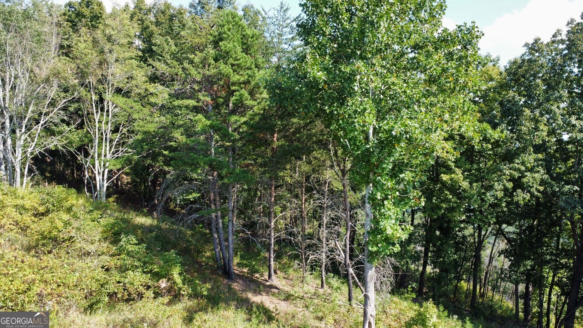 residential lot for sale at T7 Talona Mountain Road, Ellijay, GA 30536 — photo 5