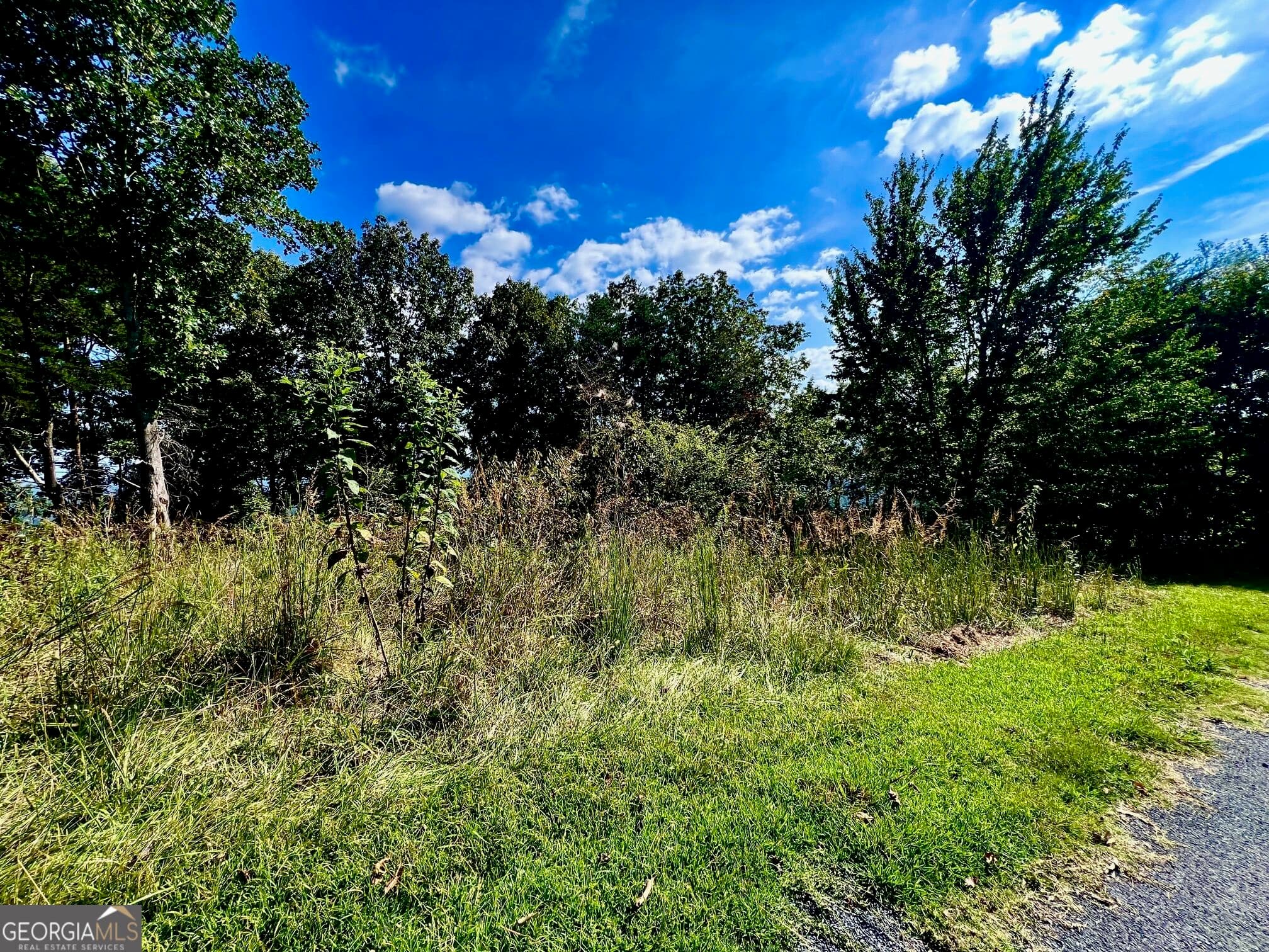residential lot for sale at T7 Talona Mountain Road, Ellijay, GA 30536 — photo 9