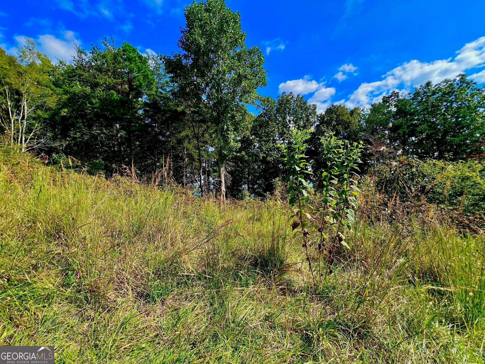 residential lot for sale at T7 Talona Mountain Road, Ellijay, GA 30536 — photo 10