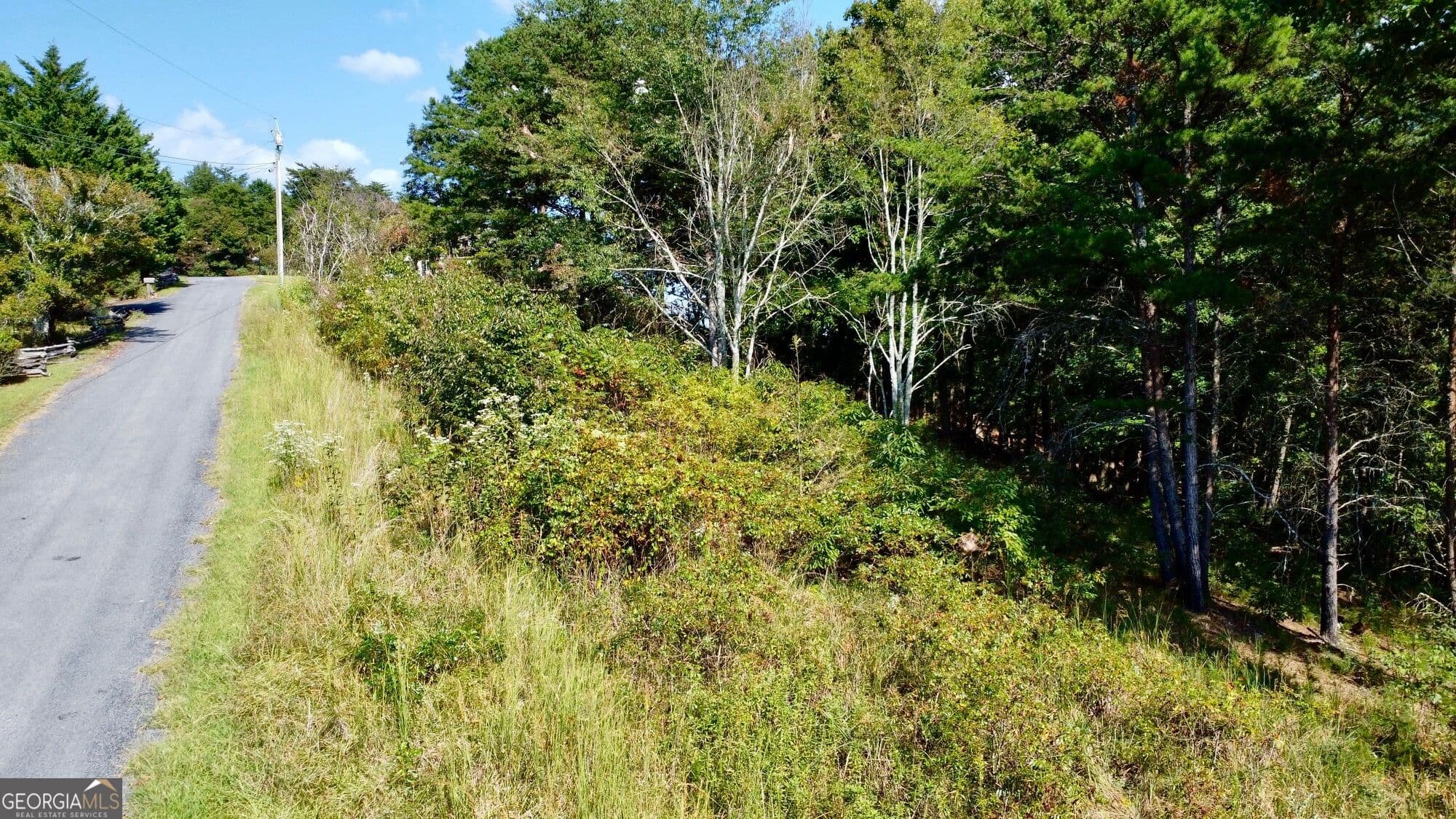 residential lot for sale at T7 Talona Mountain Road, Ellijay, GA 30536 — photo 4