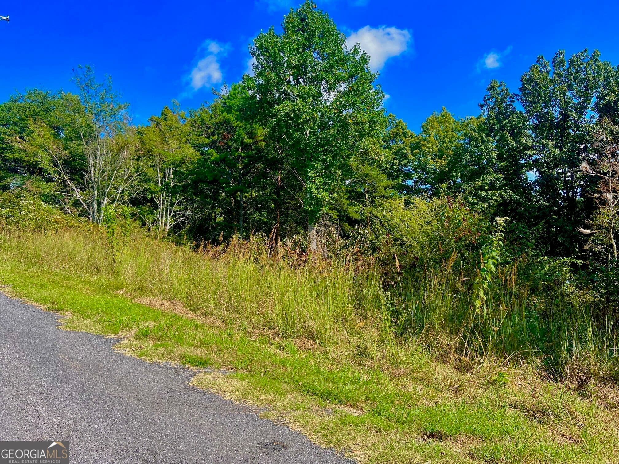 residential lot for sale at T7 Talona Mountain Road, Ellijay, GA 30536 — photo 8