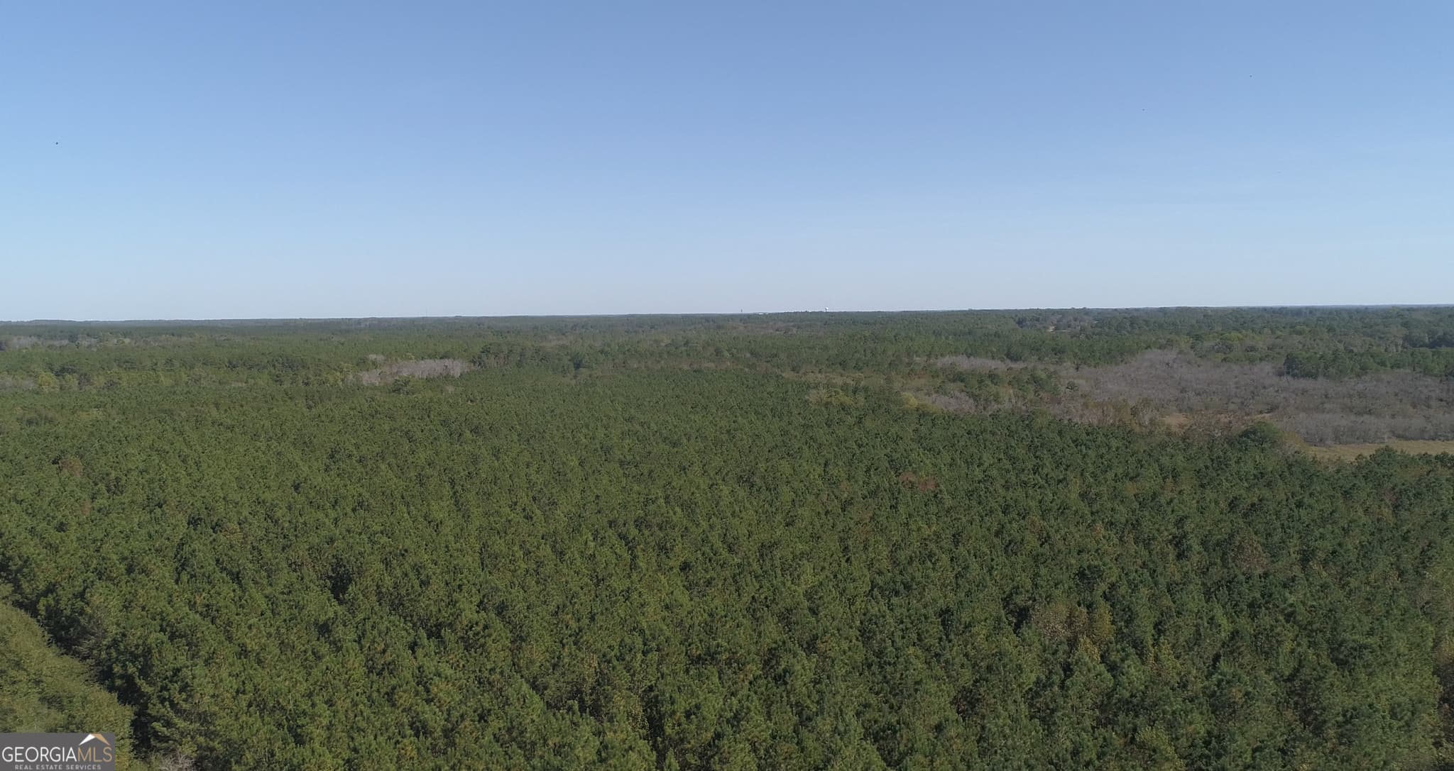 agriculture for sale at 2202 KENNEDY BRIDGE Road, Register, GA 30452 — photo 6