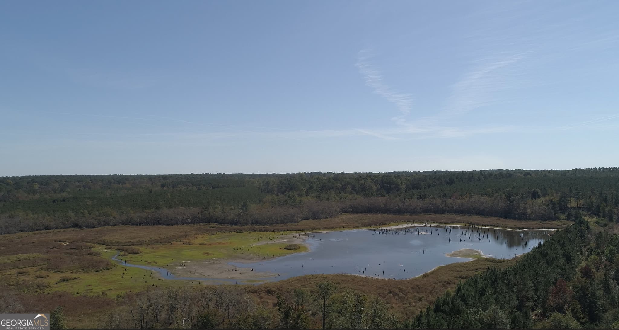 agriculture for sale at 2202 KENNEDY BRIDGE Road, Register, GA 30452