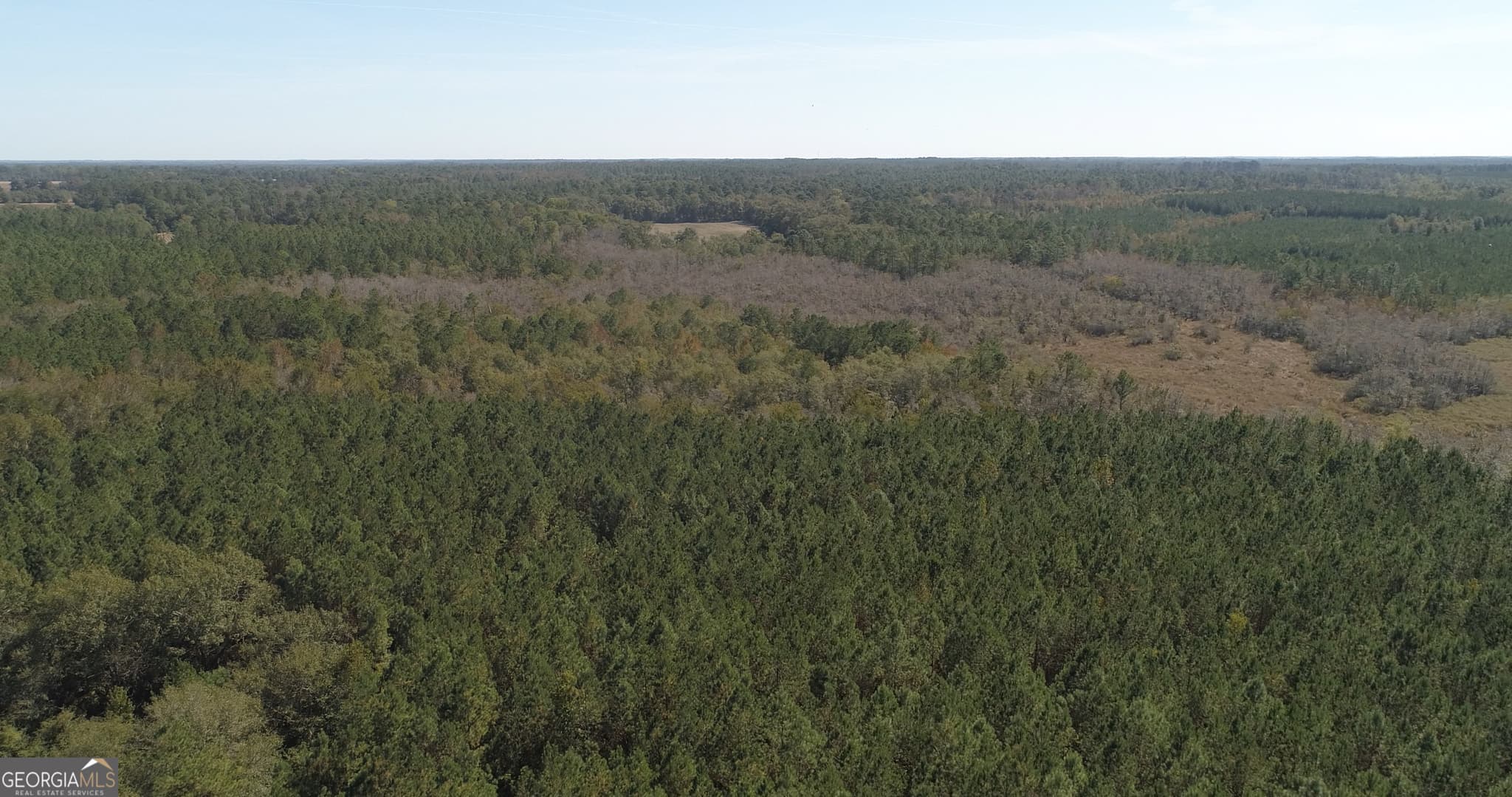 agriculture for sale at 2202 KENNEDY BRIDGE Road, Register, GA 30452 — photo 9