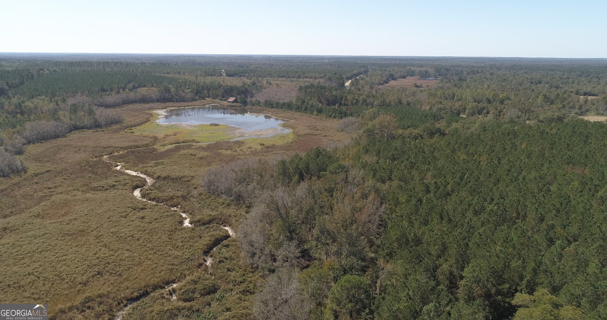 agriculture for sale at 2202 KENNEDY BRIDGE Road, Register, GA 30452 — photo 10