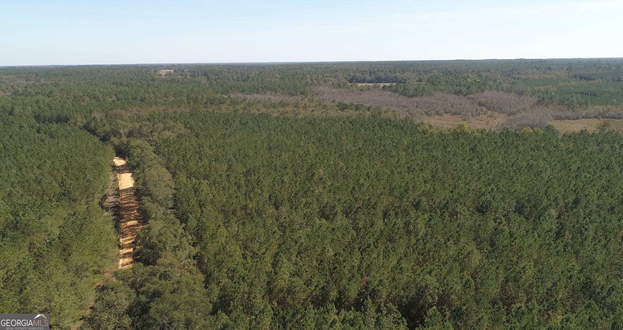 agriculture for sale at 2202 KENNEDY BRIDGE Road, Register, GA 30452 — photo 8