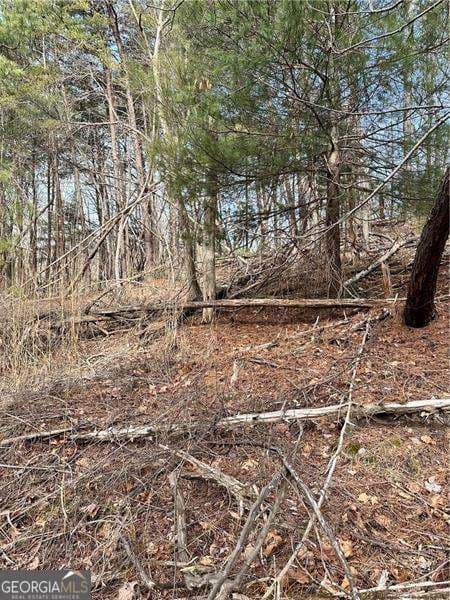 unimproved land for sale at 0 Log Swamp Drive, Jasper, GA 30143 — photo 2