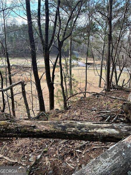 unimproved land for sale at 0 Log Swamp Drive, Jasper, GA 30143 — photo 3