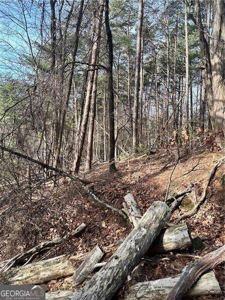 unimproved land for sale at 0 Log Swamp Drive, Jasper, GA 30143 — photo 1 of 7