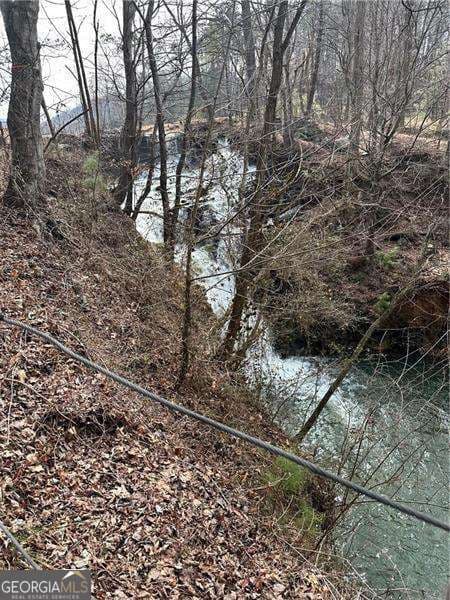 unimproved land for sale at 0 Log Swamp Drive, Jasper, GA 30143 — photo 5