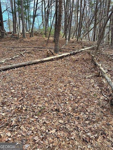 unimproved land for sale at 0 Log Swamp Drive, Jasper, GA 30143 — photo 4